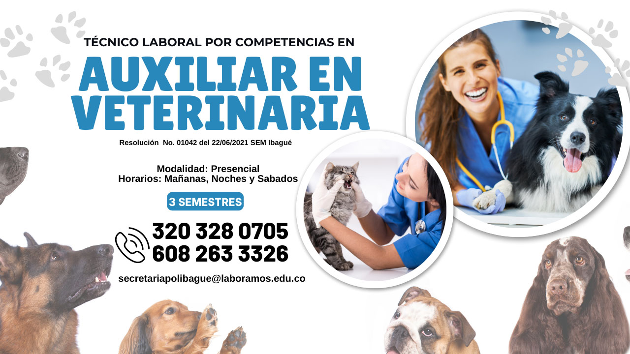 Aux Veterinaria